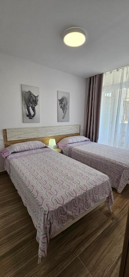 Apartamentos Cataluna92 萨洛 外观 照片