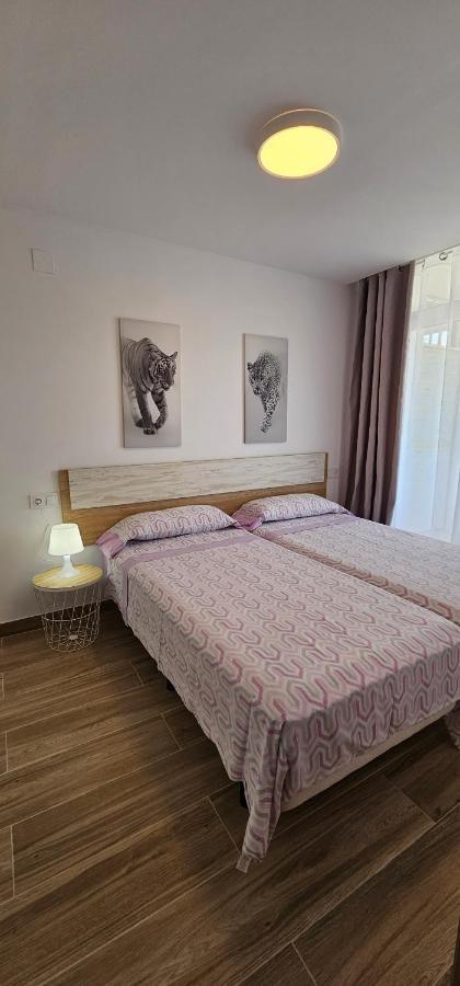 Apartamentos Cataluna92 萨洛 外观 照片
